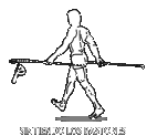 Asociación Mexicana de Caminata Nórdica | Spofitec